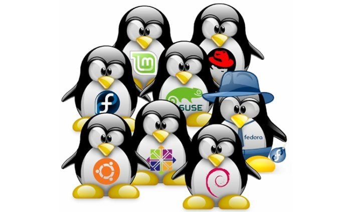 Uniwersytet chce przebaczenia Linuxa