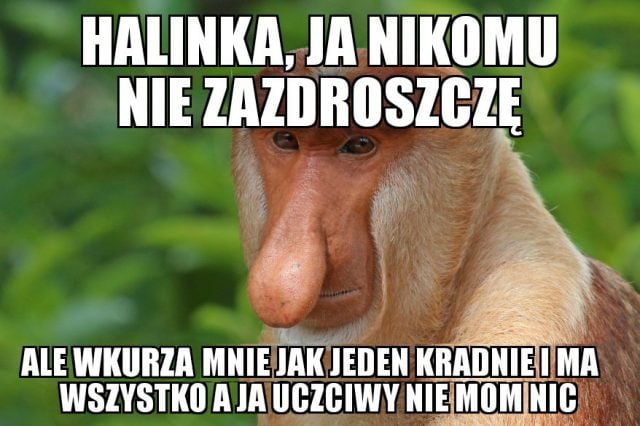 Janusz mem