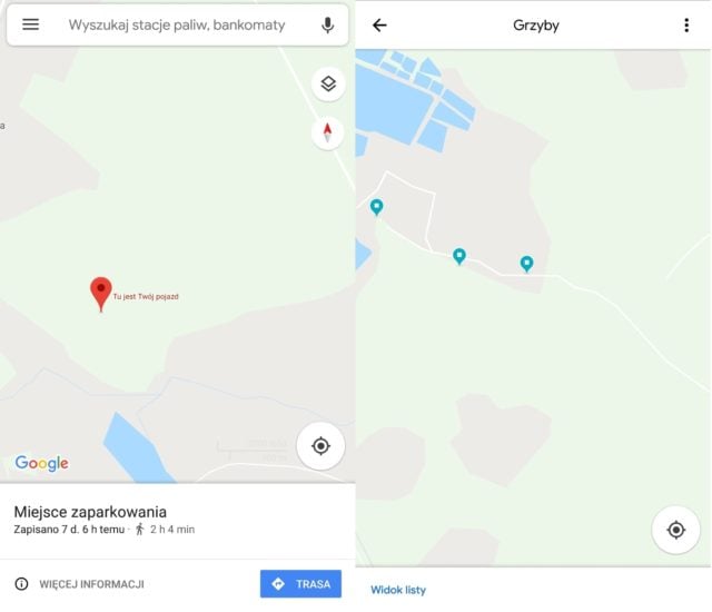 aplikacje dla grzybiarzy mapy google
