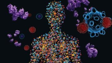 Komórki odpornościowe na raka
