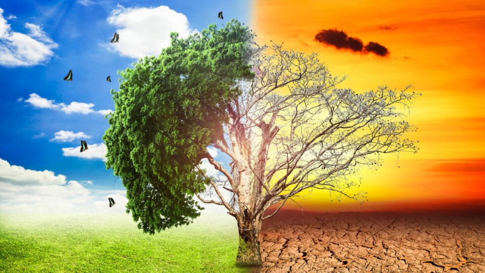 Klimat a rozwój człowieka