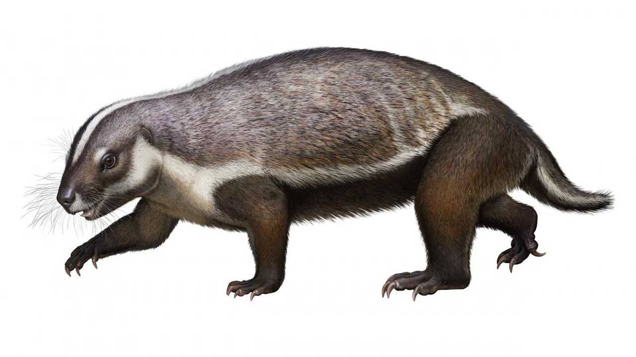 Szczątki ssaka sprzed 66 milionów lat