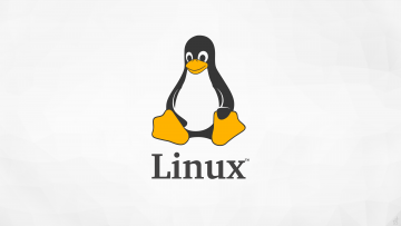 Linux PwnKit
