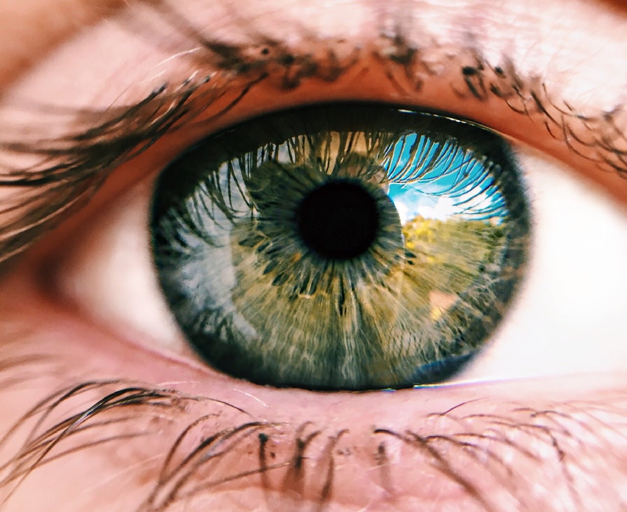 mechanizm podobny do żaluzji w oku