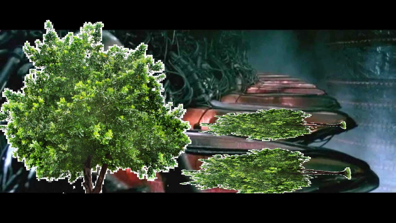 Komputer zasilany fotosyntezą