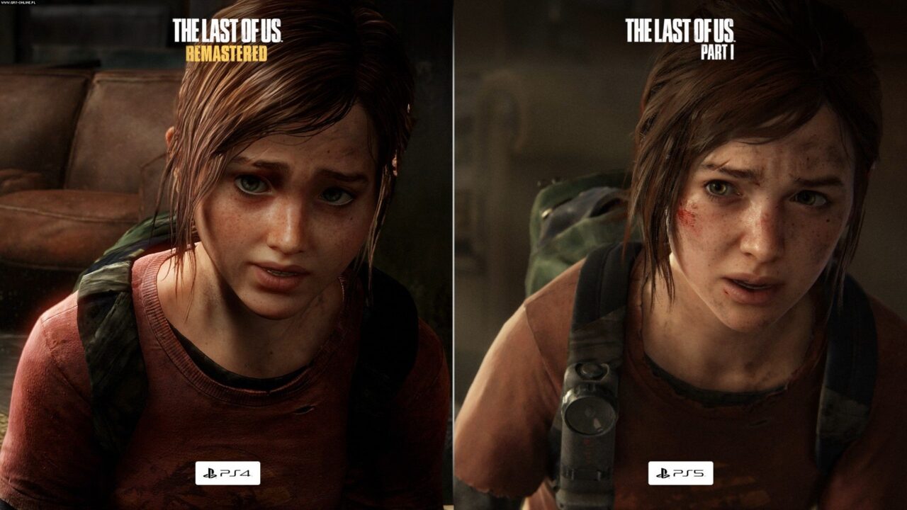 The last of us remake