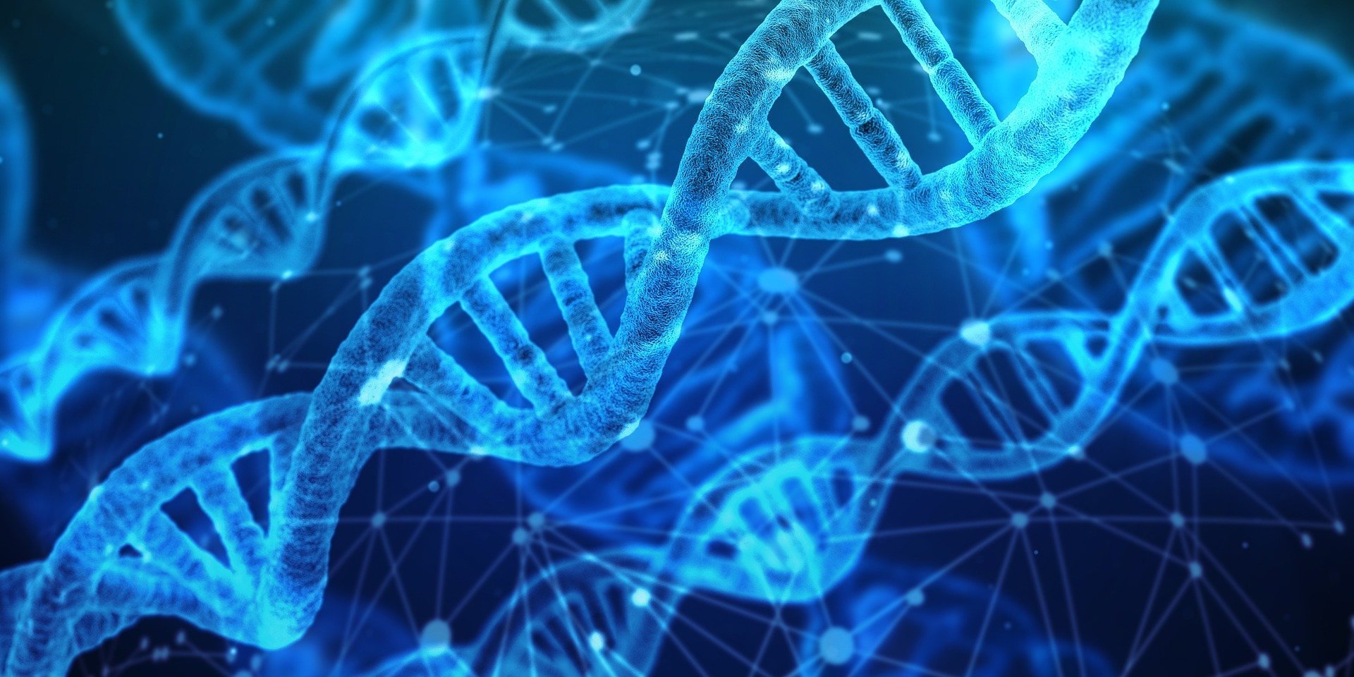 Sztuczna inteligencja DNA