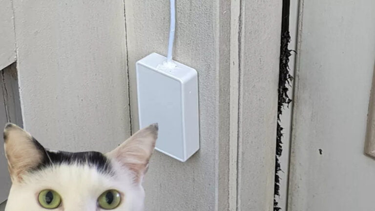 Dzwonek do drzwi dla kota