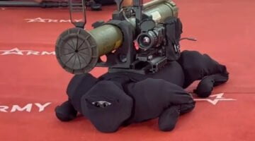 Rosyjski pies-robot-ninja