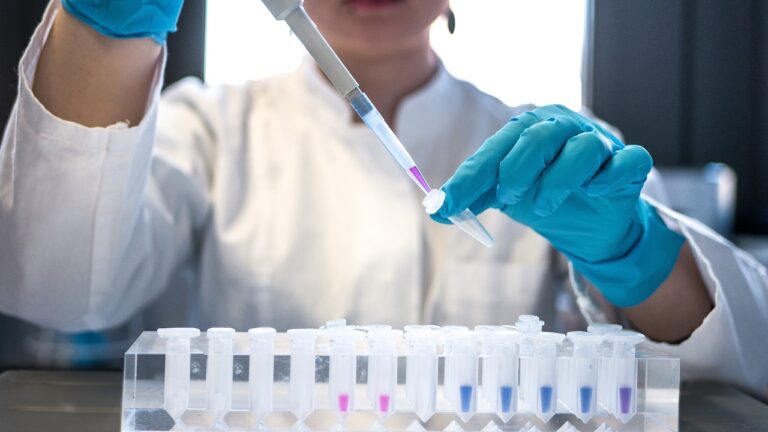 Osoba w laboratorium używa pipety do przenoszenia cieczy do probówek umieszczonych w stojaku, widoczne niebieskie rękawiczki i biały fartuch laboratoryjny.
