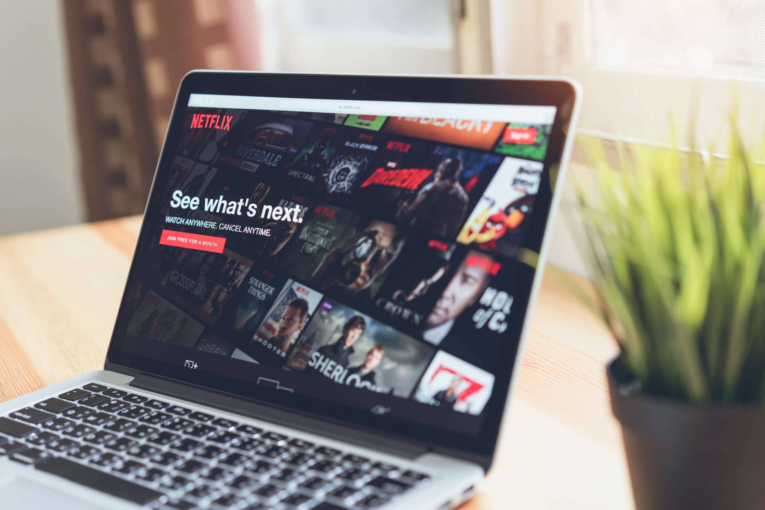 Laptop na stole wyświetlający stronę główną serwisu Netflix z dostępnymi filmami i serialami; obok laptopa doniczka z zieloną rośliną.