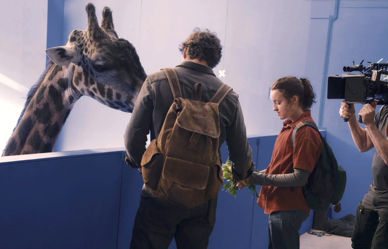 scena z żyrafą z serialu The Last of Us od HBO