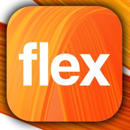 orange flex logo miniaturka