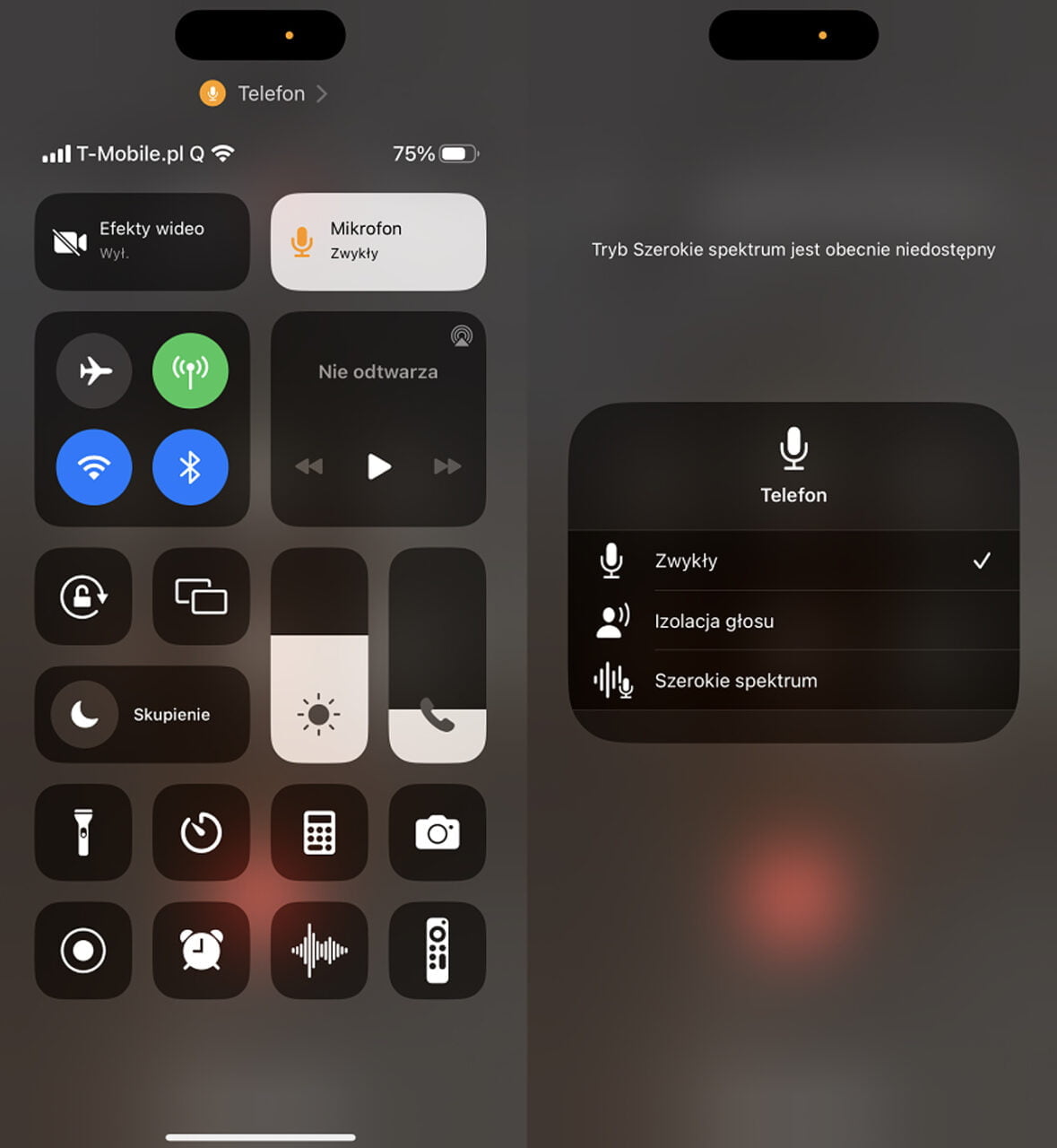 zrzut ekranu prezentujący izolację głosu w iOS 16.4