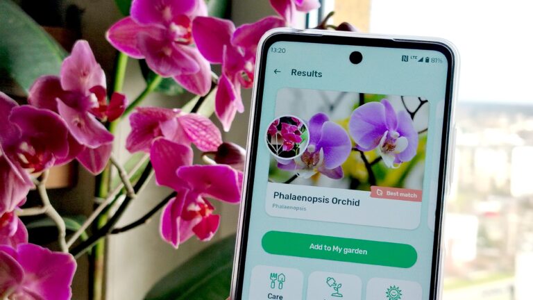 Smartfon wyświetlający aplikację do identyfikacji roślin z wynikiem "Phalaenopsis Orchid" na pierwszym planie oraz rzeczywiste kwiaty storczyka w tle.