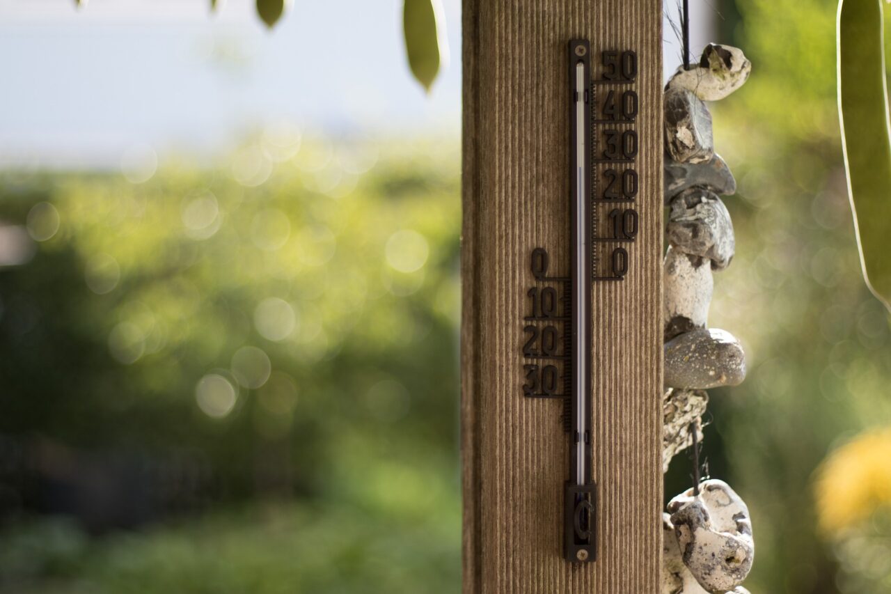 Termometr słupkowy zamocowany na drewnianym słupie na tle rozmytego ogrodu.