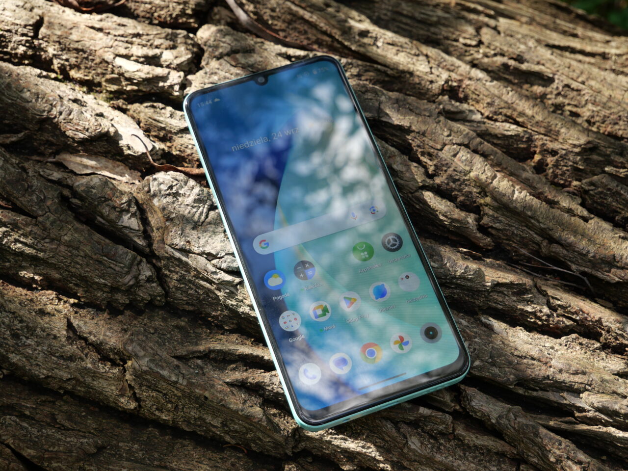Zdjęcie smartfona realme C51 leżącego na konarze drzewa. Zdjęcie ilustrujące artykuł opisujący, co wyróżnia tani smartfon na rynku.