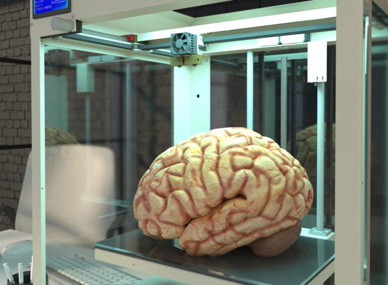 Ludzki mózg umieszczony wewnątrz przestrzeni przypominającej drukarkę 3D.
