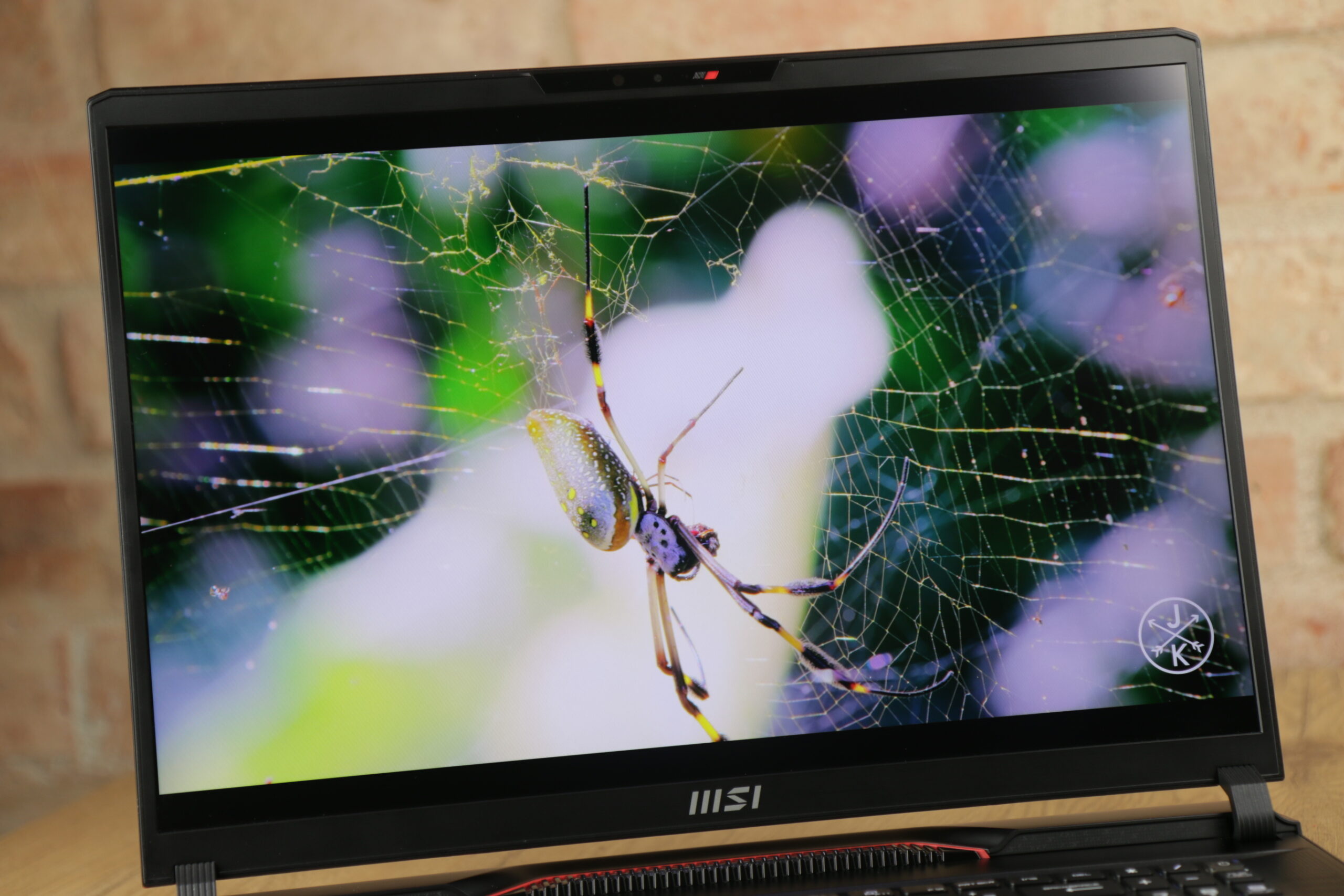Stop klatka filmu z pająkiem wyświetlona na ekranie recenzowanego MSI Raider GE78 HX 13V