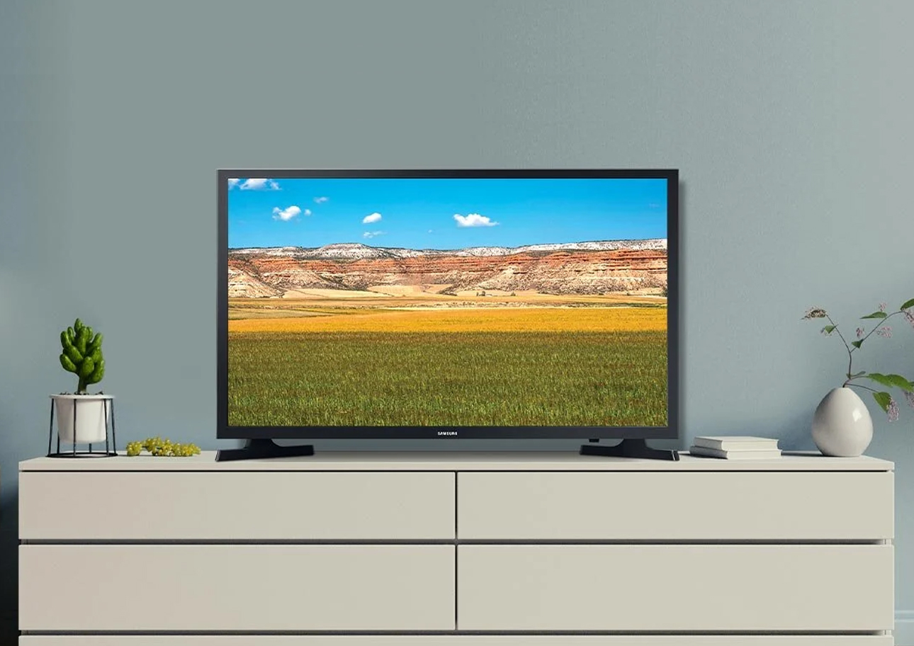 Telewizor na komodzie wyświetlający zdjęcie krajobrazu z polami i skalistymi wzgórzami, obok mała roślina i wazon z kwiatami.