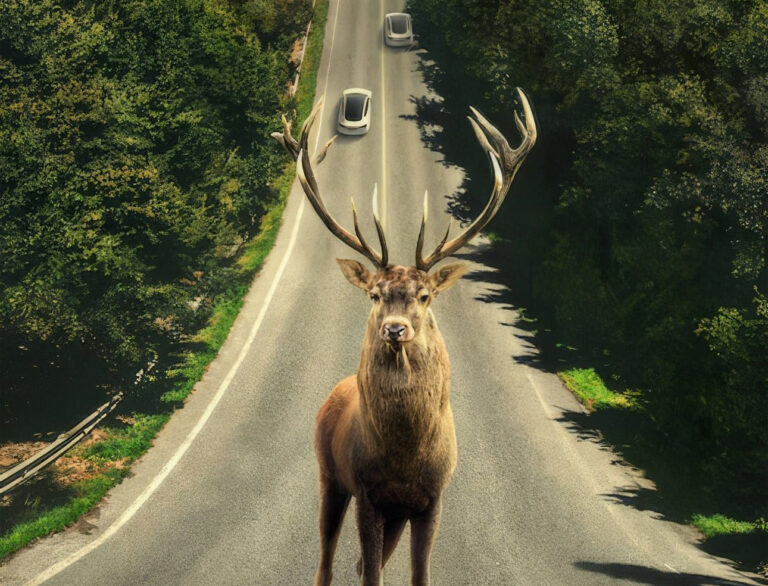 Duży jeleń stojący na środku dwupasmowej drogi prowadzącej przez las, z dwoma nadjeżdżającymi samochodami w tle. Plakat do filmu Zostaw świat za sobą od Netflix
