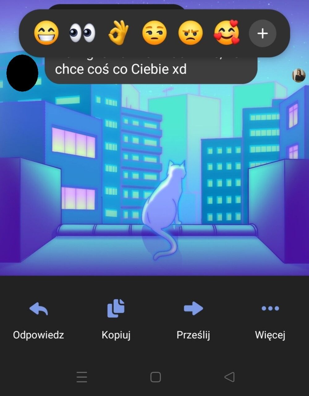 Zrzut ekranu z aplikacji komunikacyjnej Messenger przedstawiający wiadomość z emoji oraz w tle ilustrację kota patrzącego na nocne miasto.