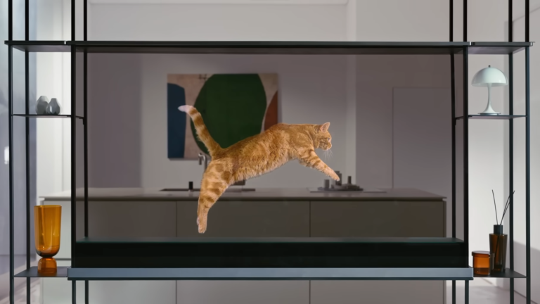 Rucy skaczący kot wyświetlony na przezroczystym telewizorze LG