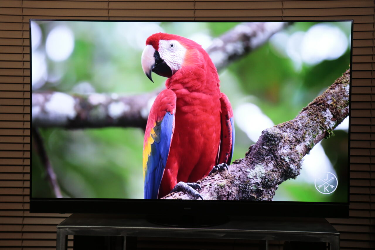 Czerwona papuga ara na gałęzi wyświetlona na ekranie testowanego telewizora Panasonic 65MZ2000 umieszczonego na niskim stoliku w pokoju.
