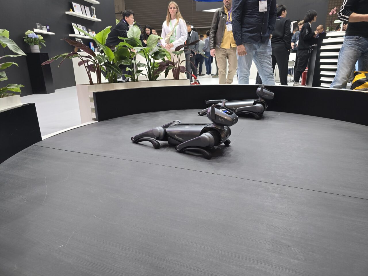 Robopies Tecno Dynamic 1. Robot przypominający psa leży na czarnej platformie na tle stoiska targowego z ludźmi w tle.