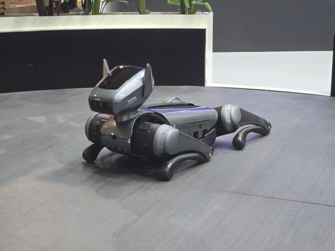 Robopies Tecno Dynamic 1 przypominający psa na wydarzeniu - czarny i srebrny, z giętkim tułowiem, czterema nogami i "głową" z sensorami.