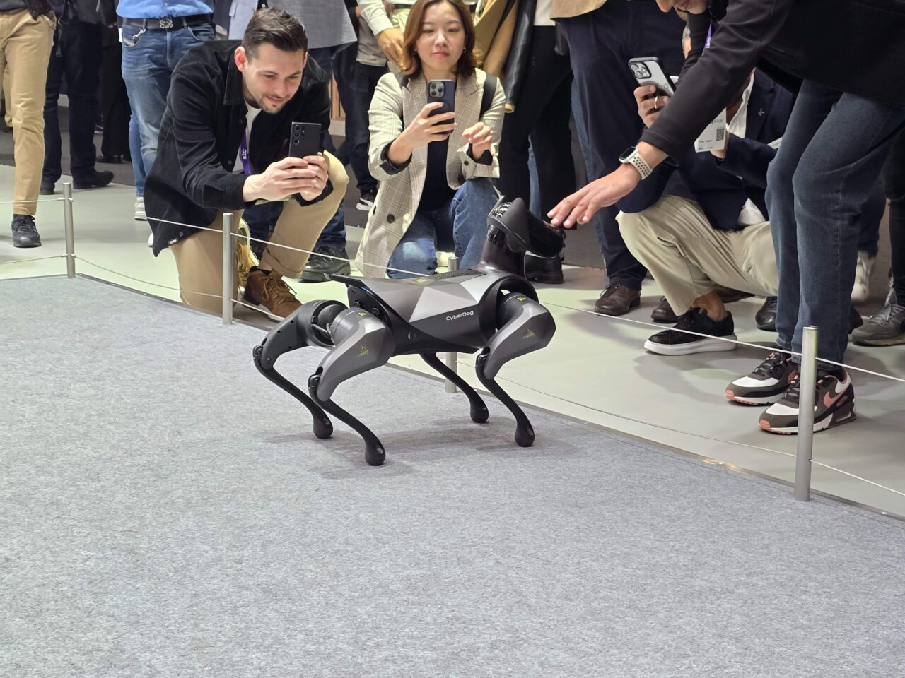 Czteronożny robopies Xiaomi CyberDog 2 przypominający psa znajduje się na wystawie, otoczony przez odwiedzających robiących zdjęcia.