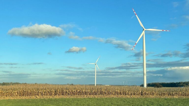 Turbin wiatrowych na polu uprawnym ze zżółkłymi łodygami, na tle błękitnego nieba z pojedynczymi chmurami.
