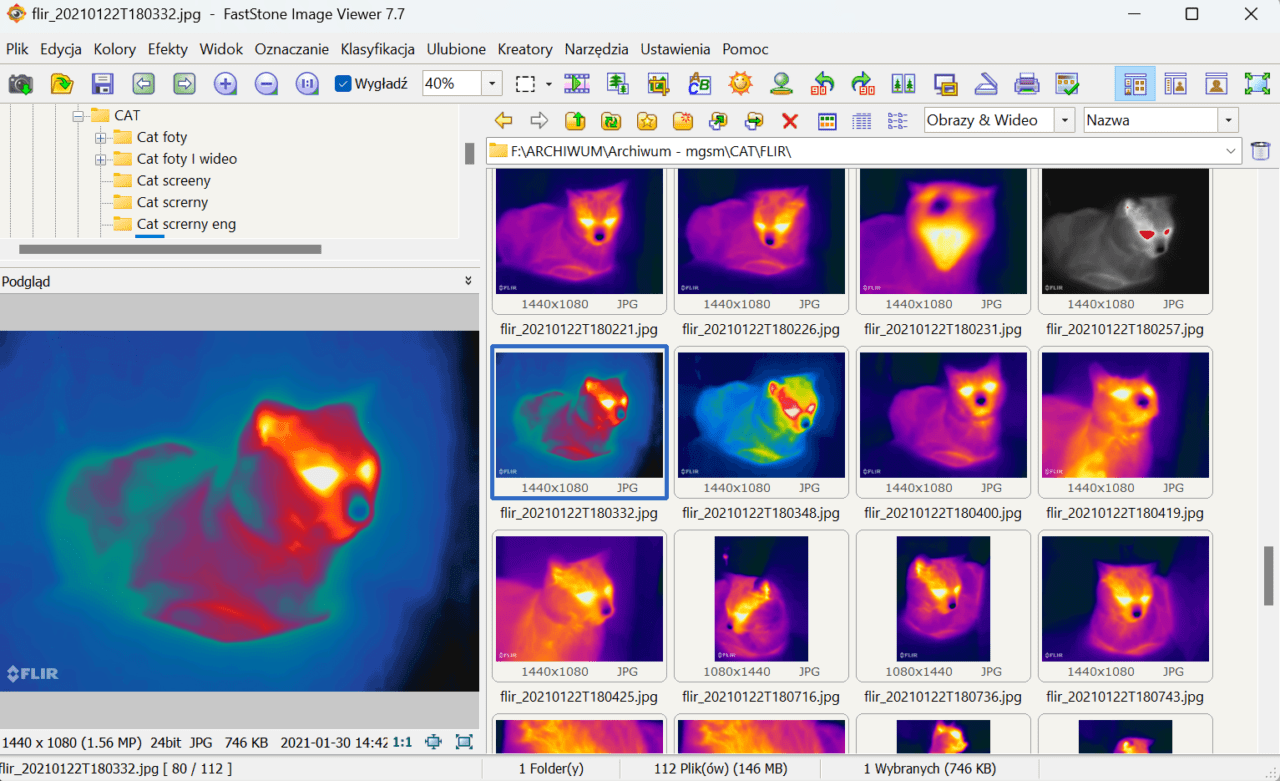 Zrzut ekranu programu FastStone Image Viewer prezentujący miniatury termowizyjnych zdjęć kota.