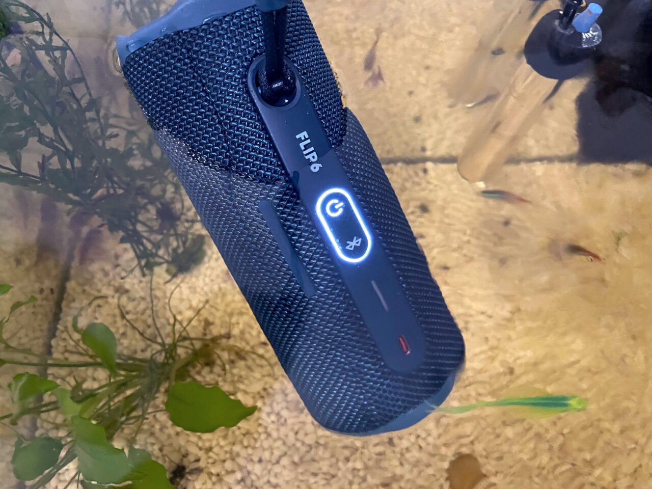 Czarny, przenośny głośnik Bluetooth marki JBL Flip zawieszony nad powierzchnią wody, w tle widoczne rośliny wodne i małe rybki.