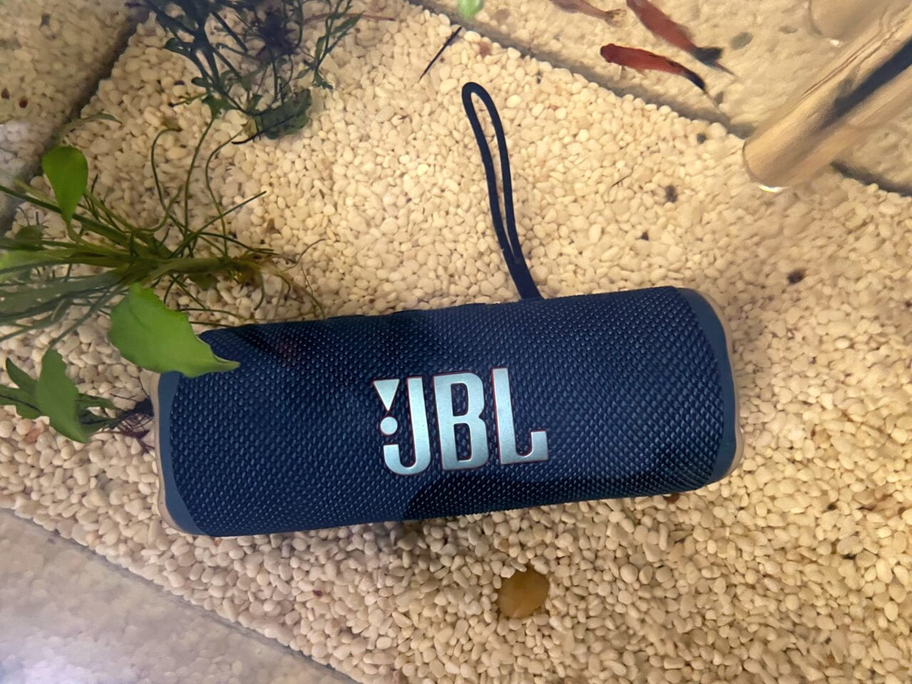 Niebieski głośnik przenośny JBL leżący na żwirkowatym dnie akwarium obok roślin wodnych i pływających ryb.