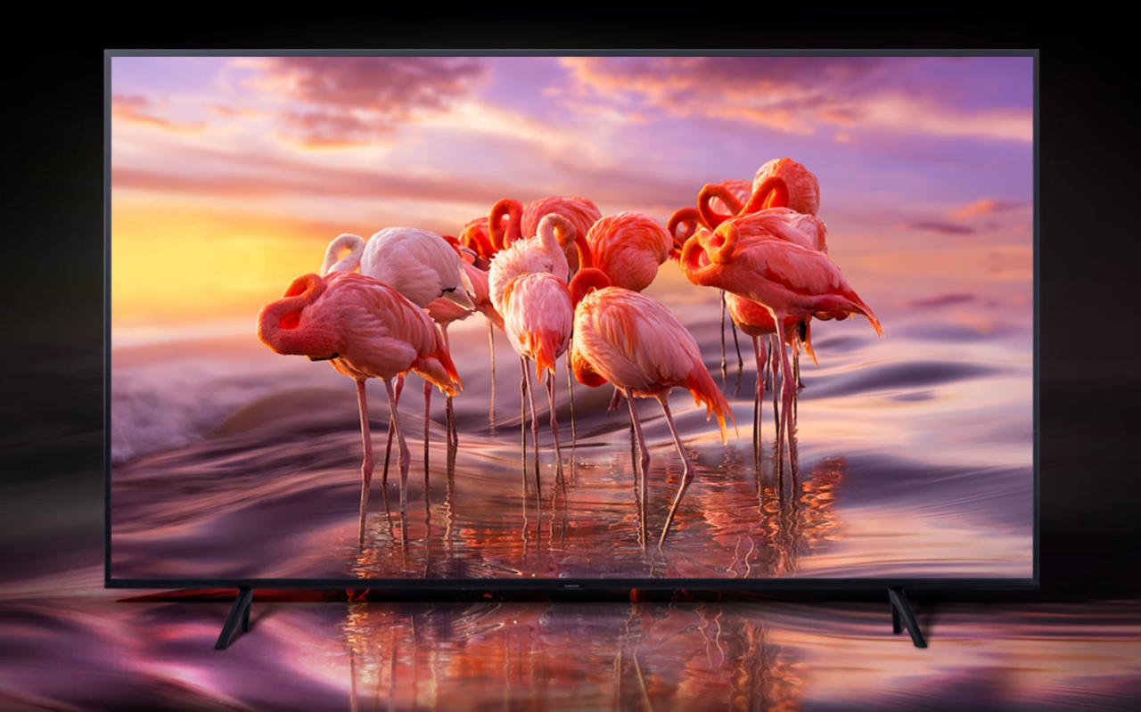 Grupa flamingów na wyświetlaczu telewizora, z obrazem odbijającym się na wodnej powierzchni w zachodzącym słońcu.