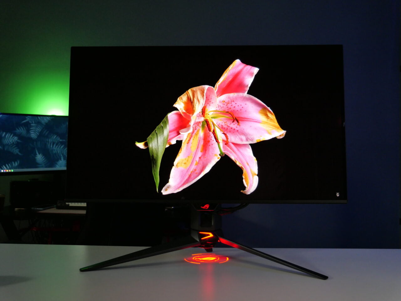 Monitor komputerowy z wyświetlonym obrazem dużego, różowego kwiatu lilii na ciemnym tle, postawiony na biurku w oświetlonym wielokolorowym światłem pokoju.