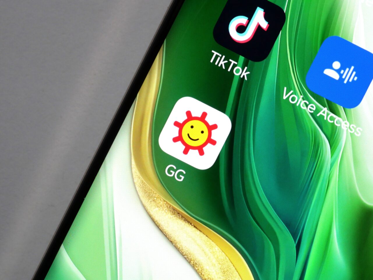 Ekran smartfona z aplikacjami TikTok, Voice Access i GG na zielonym tle.