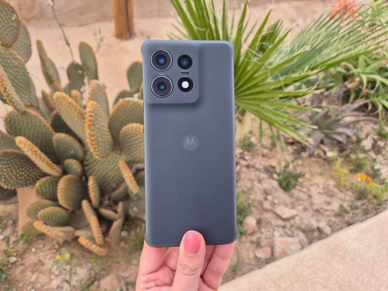Recenzja motorola edge 50 pro. Czarna obudowa smartfona Motorola z potrójnym aparatem, trzymana na tle pustynnej roślinności.