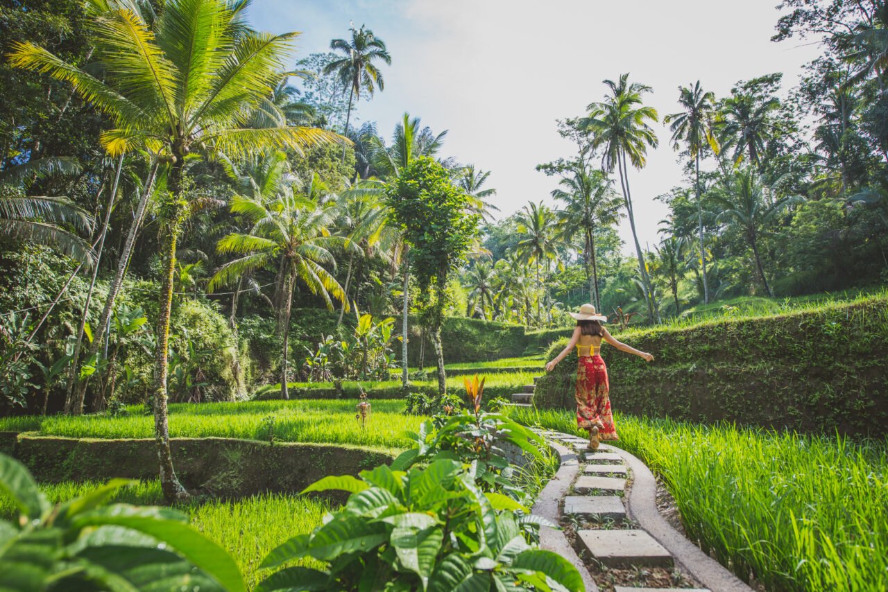 Kobieta w kapeluszu i czerwonej sukience spaceruje po ścieżce wśród zielonych tarasów ryżowych na tle gęstej tropikalnej dżungli.