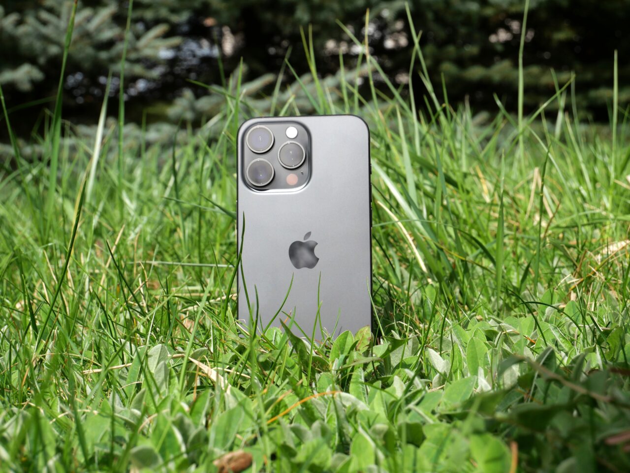 Um smartphone com câmera tripla fica verticalmente em um terreno gramado com vegetação ao fundo.