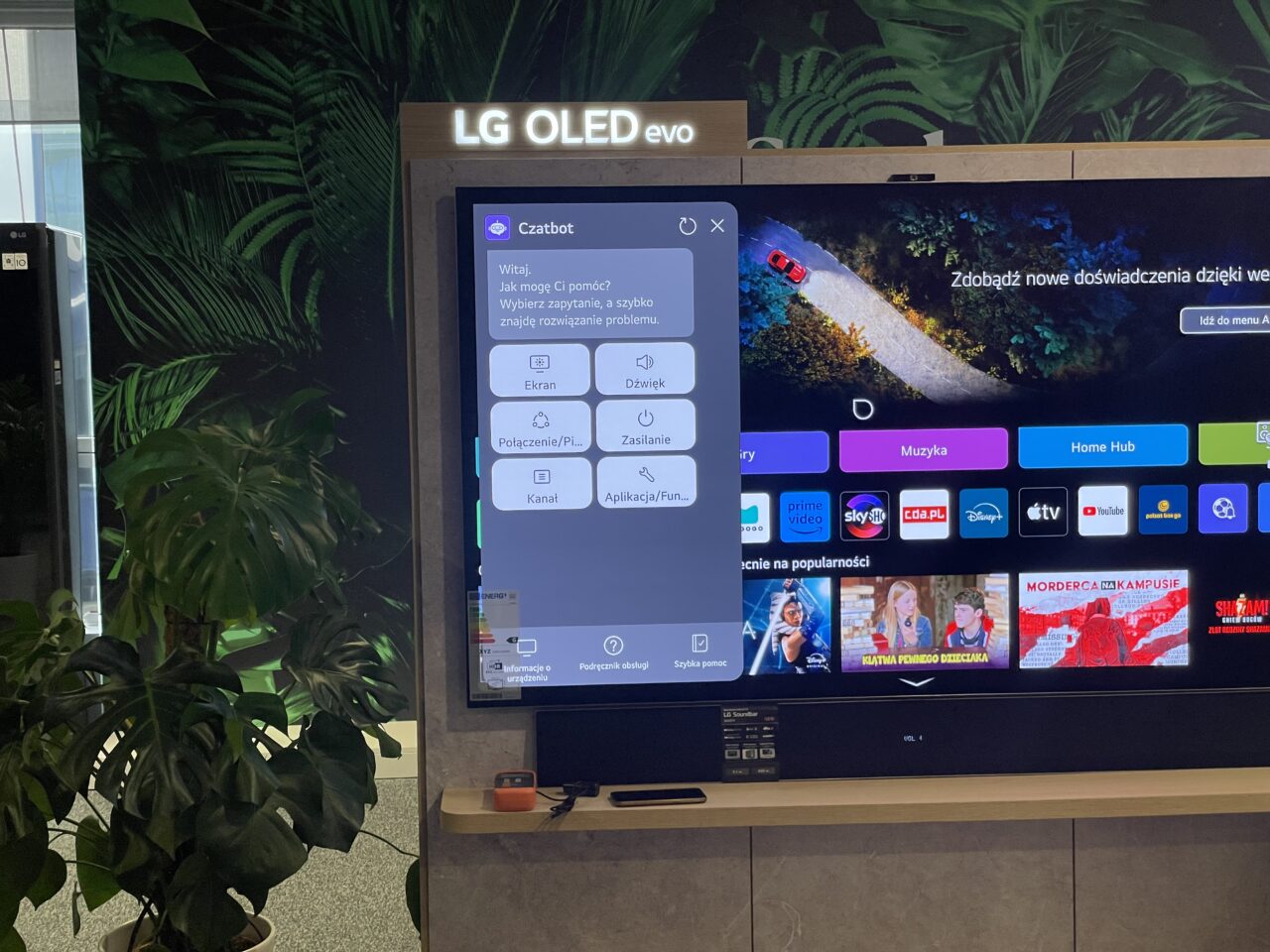 Telewizor LG OLED Evo w salonie z rośliną doniczkową po lewej stronie oraz ekranem z aplikacjami i chatbotem.