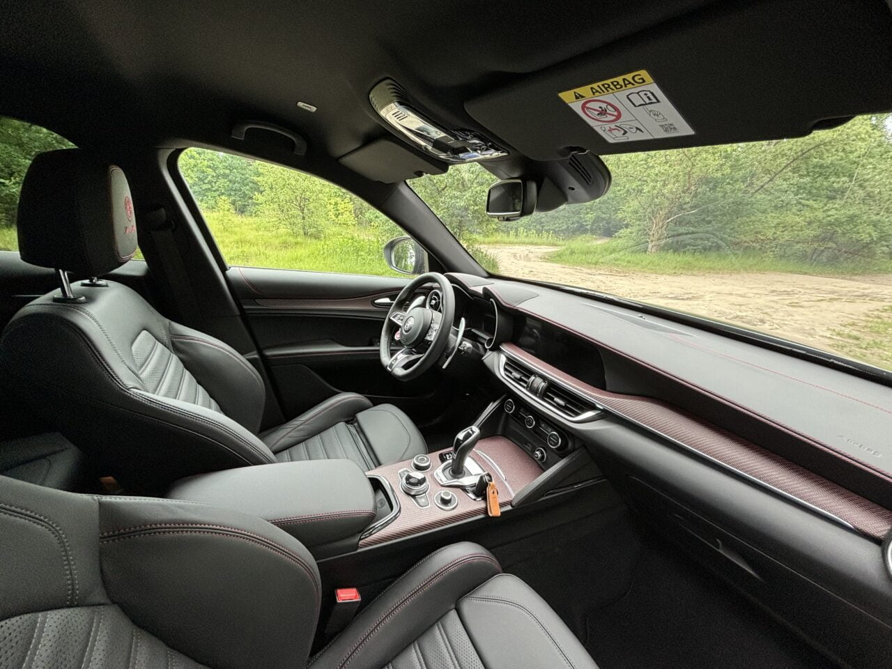 Wnętrze samochodu z czarnymi skórzanymi fotelami i wykończeniami, widok na kierownicę, konsolę i deskę rozdzielczą. Za oknem widoczny zielony krajobraz.