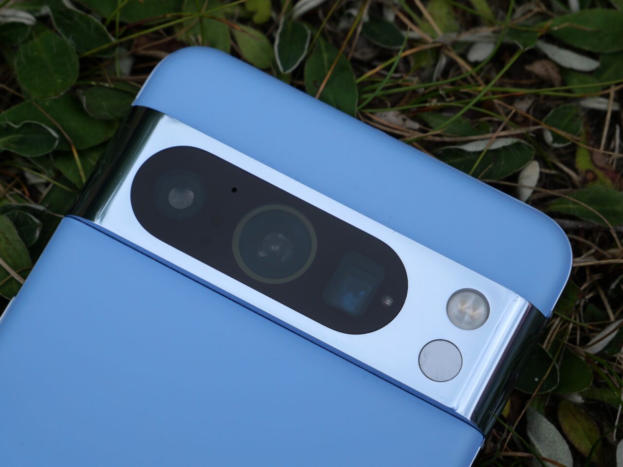 Błękitny smartfon z metalicznym wykończeniem aparatu leżący na trawie.