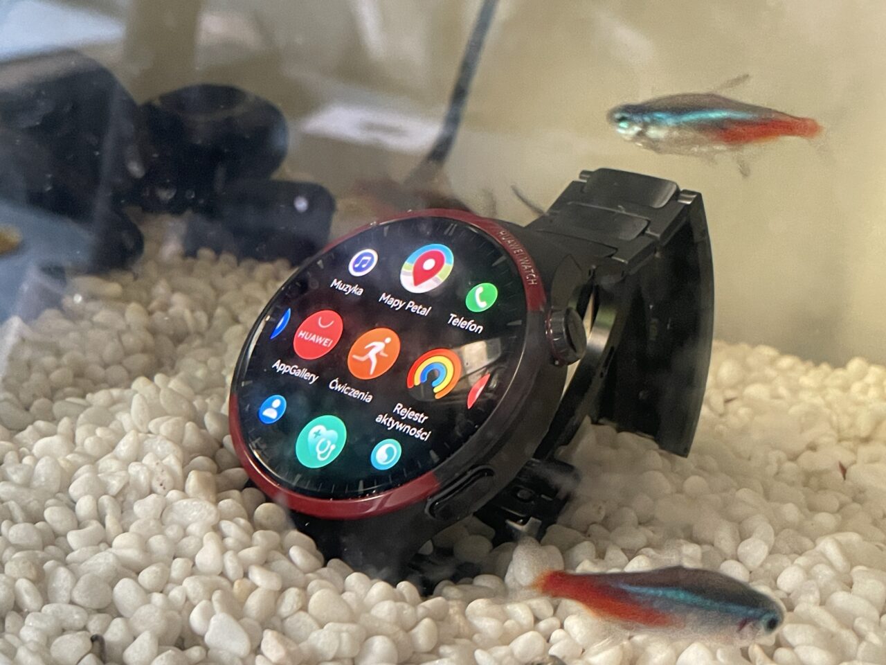 Smartwatch zanurzony w akwarium z dwiema rybkami neonowymi w pobliżu.