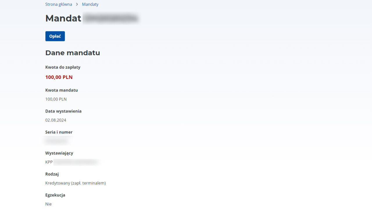 Strona internetowa przedstawiająca szczegóły mandatu do zapłaty, kwotę 100,00 PLN, datę wystawienia 02.08.2024 oraz szczegóły dotyczące wystawiającego.