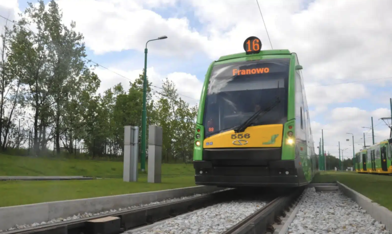 Zielono-żółty tramwaj linii 16 o numerze 556, jadący do Franowa na torach otoczonych trawą i drzewami.