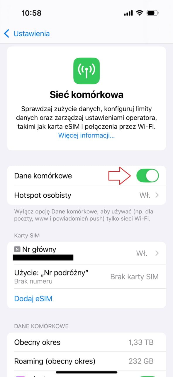 zrzut ekranu pokazujący opcje sieci komórkowej na iPhonie