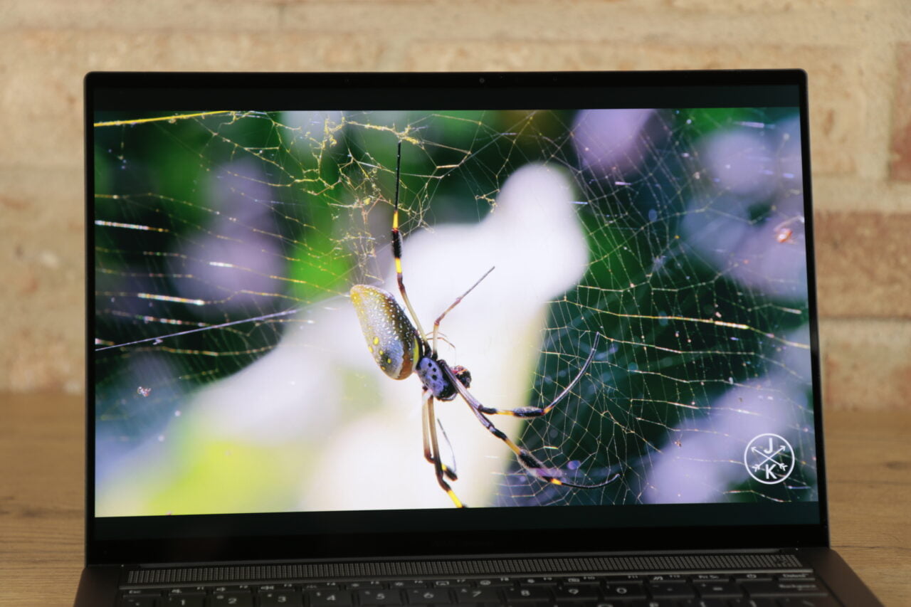 Recenzja ASUS Zenbook S 14 UX5406 - obrazek wyświetlający pająka na sieci.