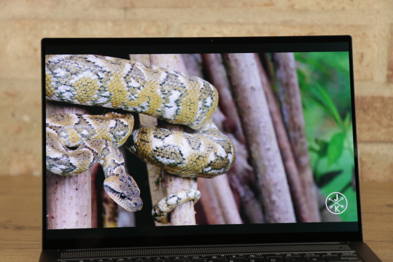 Ekran laptopa wyświetlający obraz węża - recenzja Asus Zenbook S 14 UX5406.